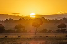2 Days Private Safari To Maasai Mara National Reserve