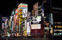 Full-Day Private Guided Tour in Tokyo 