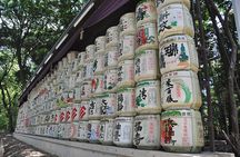 Full-Day Private Guided Tour in Tokyo 