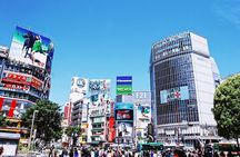 Full-Day Private Guided Tour in Tokyo 