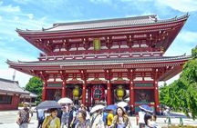 Full-Day Private Guided Tour in Tokyo 