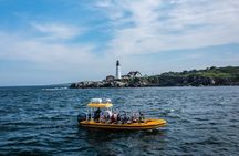 Guided RIB Boat Adventure of Casco Bay
