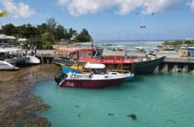 Private Full-Day Tour in Praslin and La Digue
