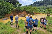 Phuket City Tour & Elephant Sanctuary: Sights, Tastes, Culture 