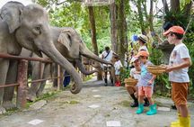 Phuket City Tour & Elephant Sanctuary: Sights, Tastes, Culture 