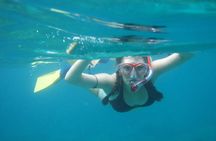 3 Hour Cruise & Swimming Excursion from Downtown West Palm Beach