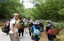 PRIVATE Trekking Sapa Tour 2 Days 1 Night ( Homestay Overnight)