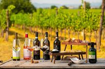 Taste of Prague: Wine Tasting Experience in Czechia