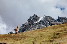 Rainbow Mountain and Red Valley Hike – 2 Days / 1 Night