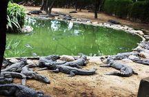South of Mauritius : Crocodile park, lunch ,Rum and Tea Tasting