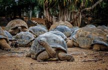 South of Mauritius : Crocodile park, lunch ,Rum and Tea Tasting