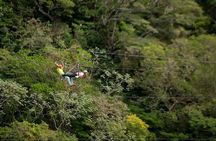 MEGA COMBO: 8 activities in 1 day, including natural hot springs 