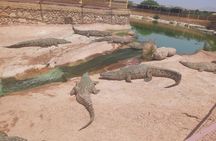Crocodil Park transport and entrance ticket Crocoparc Included