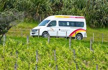 Waiheke Island Wine Tours - Premium Wine tour 