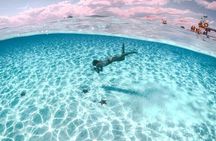 Private Tour in Cozumel El Cielo Sandbar and Reef Snorkeling