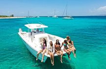 Private Snorkel and Cruise Experience in Ceiba