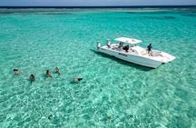 Private Snorkel and Cruise Experience in Ceiba