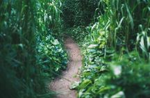 Maui Jungle Hiking Adventure with Waterfalls