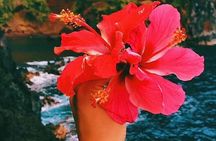 Road To Hana Tour with GO PRO 10 Videography