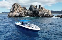 Private Full Day or Half Day Charter - 37' Midnight Express