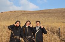 Private Half-Day Udo Tour in Jeju Island 