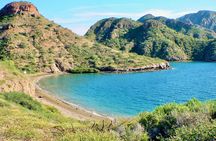 Danzante Island and Snorkel Tour from Villas del Palmar Hotel