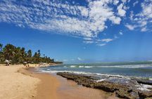 Private Coconut Coast & Praia do Forte Tour - from Salvador