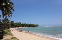 Private Coconut Coast & Praia do Forte Tour - from Salvador