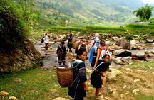 PRIVATE Trekking Sapa Tour 2 Days 1 Night ( Homestay Overnight)