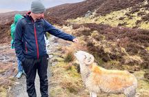 English Speaking Homestay Exploring Edinburgh and National Parks