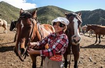 10-hour Gaucho Horseback Riding in Mendoza with BBQ