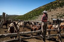 10-hour Gaucho Horseback Riding in Mendoza with BBQ