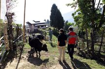 Private 5-Day Tour by Trans-Bhutan Trail in Paro