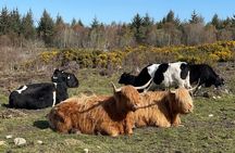 Private Full Day Inverness Centre Tour