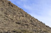 Private 4x4 Adventure Day Tour through the Mendocina Precordillera