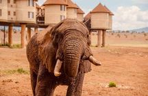 2 Days Salt Lick Safari Tour