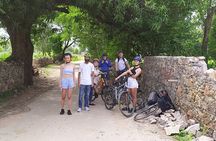 Panorama Bike Tour