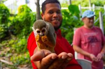 Monkey Enconter & Zip line Adventure