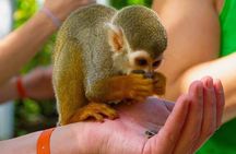 Monkey Enconter & Zip line Adventure