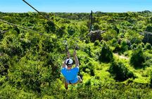Monkey Enconter & Zip line Adventure