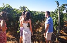 Guided Madrid Countryside Wine Tasting & Winery Tour