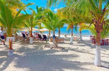 Half-Day Island Tour with Mayan Experience & Beach Break