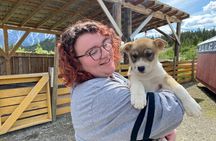 Step Into the Yukon and Sled Dog Tour