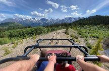 Step Into the Yukon and Sled Dog Tour