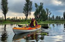 Kayak at Sunrise in Xochimilco: Visit the Island of the dolls 