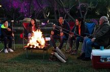 Kayak at Sunrise in Xochimilco: Visit the Island of the dolls 