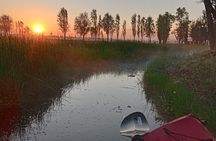 Kayak at Sunrise in Xochimilco: Visit the Island of the dolls 