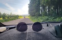 9 Hour Private Day Tour Taxi in Jeju island (High recommend)