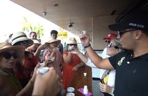 Miami Private Full Day Luxury City & Boat Guided Tour