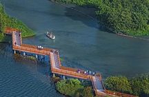 4 Hours Half Day Guangzhou Airport Layover Visa-Free Private Tour
